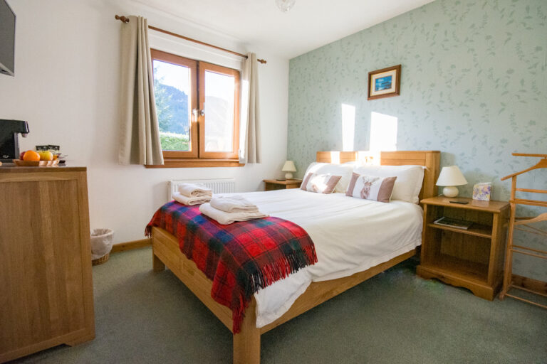 Ash Double Room with Mountain View